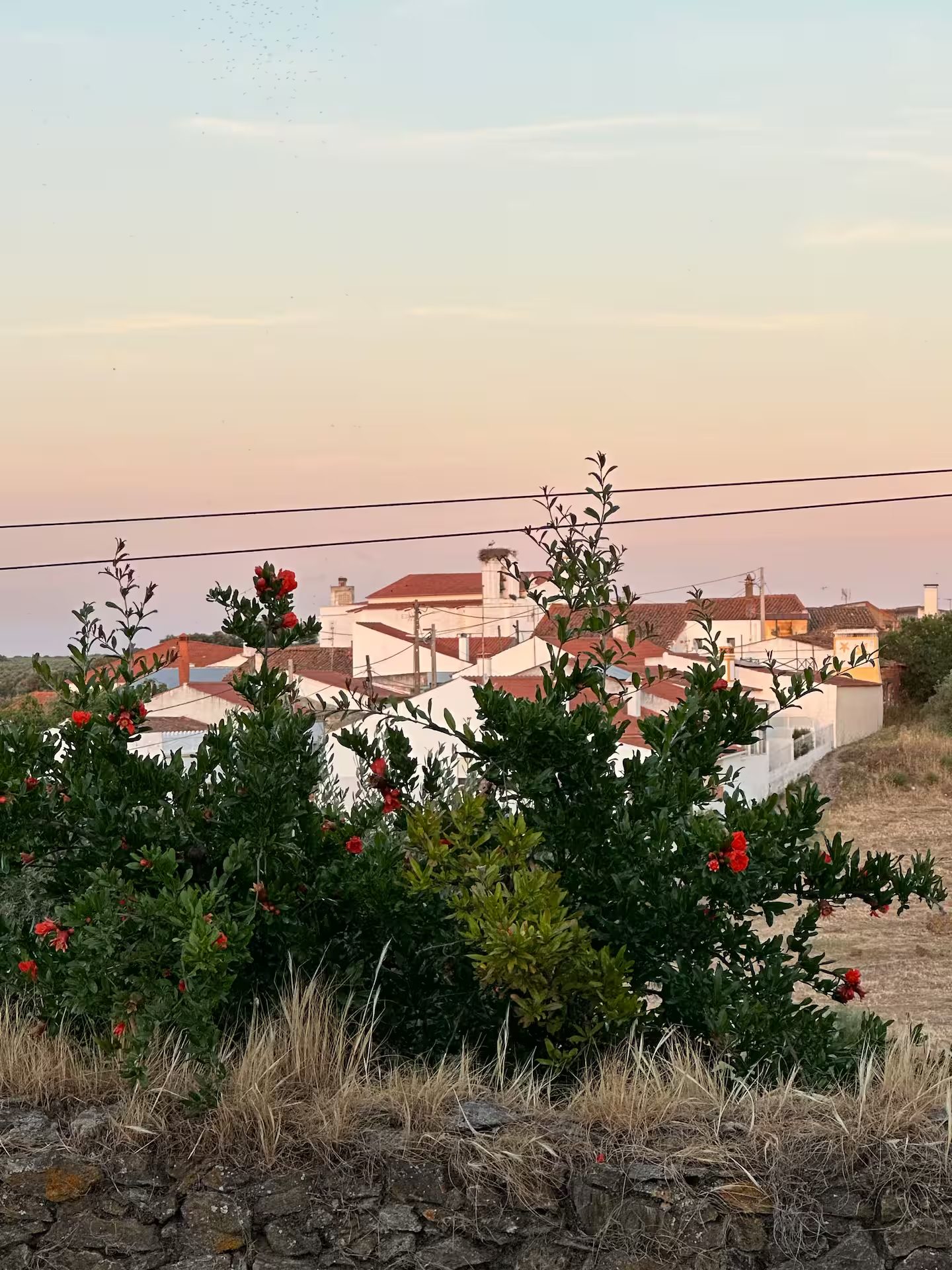 Vista sobre uma aldeia alentejana